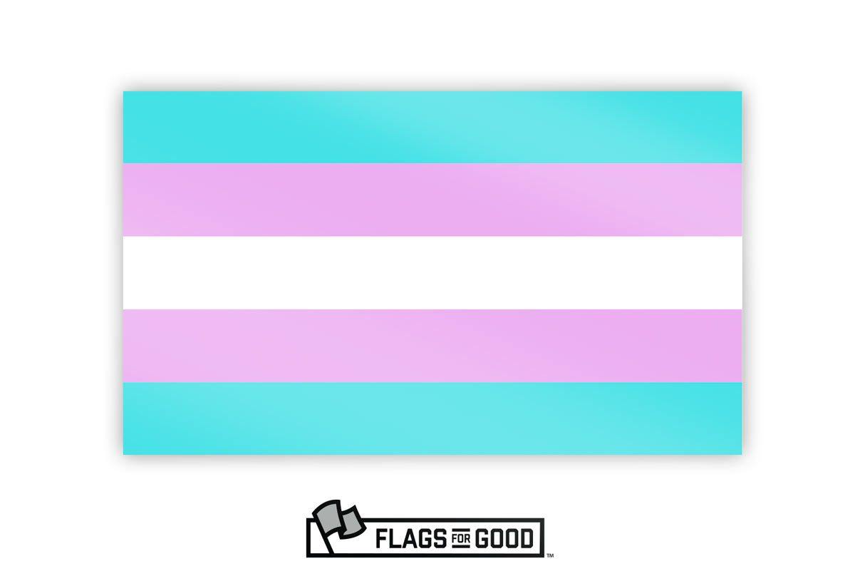 Trans Pride Sticker